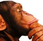 Michelson Borges: De olho no darwinismo